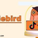 Urlebird. com